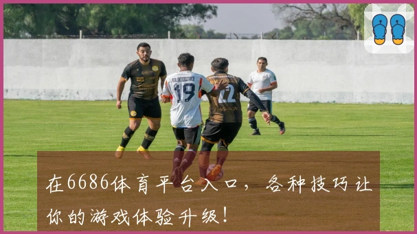 在6686体育平台入口，各种技巧让你的游戏体验升级！